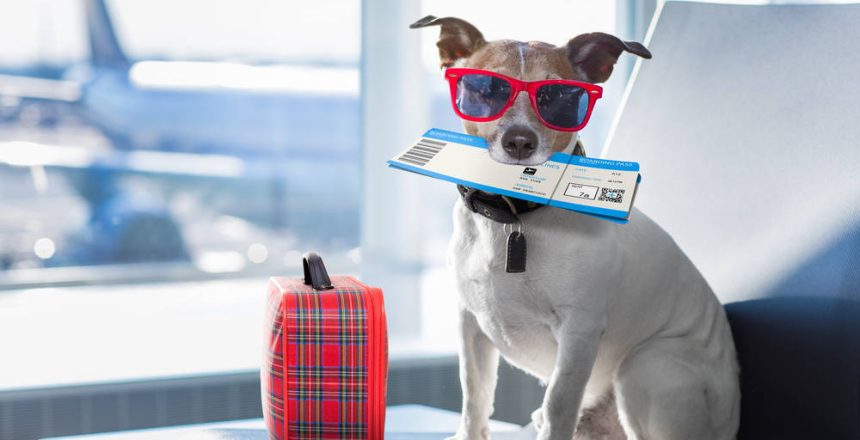 shutterstock_619468106(FILEminimizer)